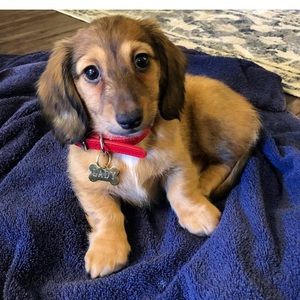 Meet your Posher, Alexandra